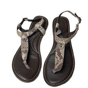 Fossil Snakeskin Thong Sandals. Size 7.5.